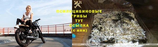 эйфоретик Балахна