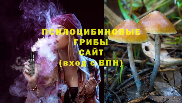эйфоретик Балахна